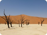 Namibia Discovery-1145